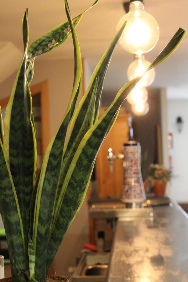Hostal As Margaritas Santiago de Compostela Dış mekan fotoğraf